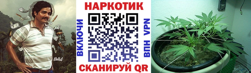 Все наркотики Котлас Гашиш  A PVP  МЕФ  Канабис 