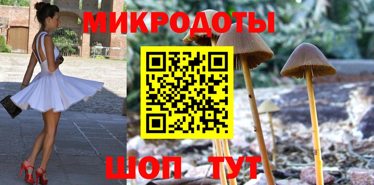 Галлюциногенные грибы Magic Shrooms Котлас