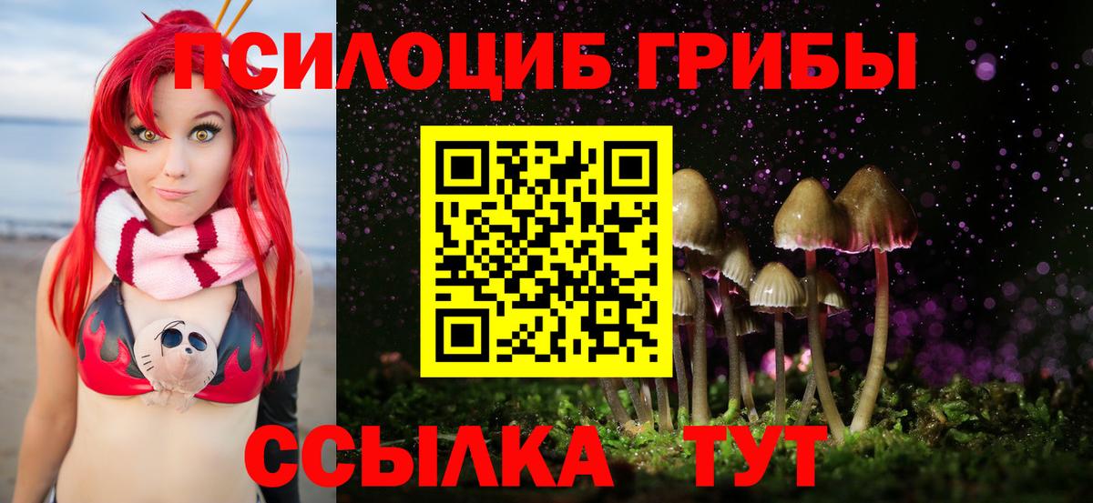 Псилоцибиновые грибы Psilocybine cubensis  Вход с VPN  где купить наркоту  Котлас  Псилоцибиновые грибы Cubensis 