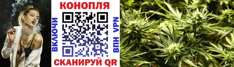 Конопля Amnesia  купить   Котлас 